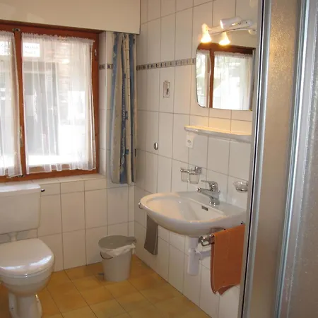 Apartment Appartementhaus Venetz Saas103 Saas-Fee
